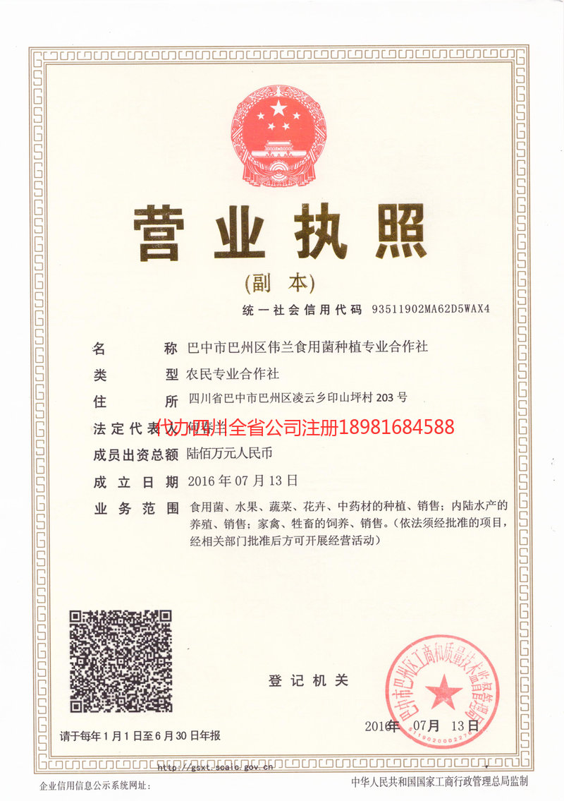 东港东港伟兰食用菌种植专业合作社